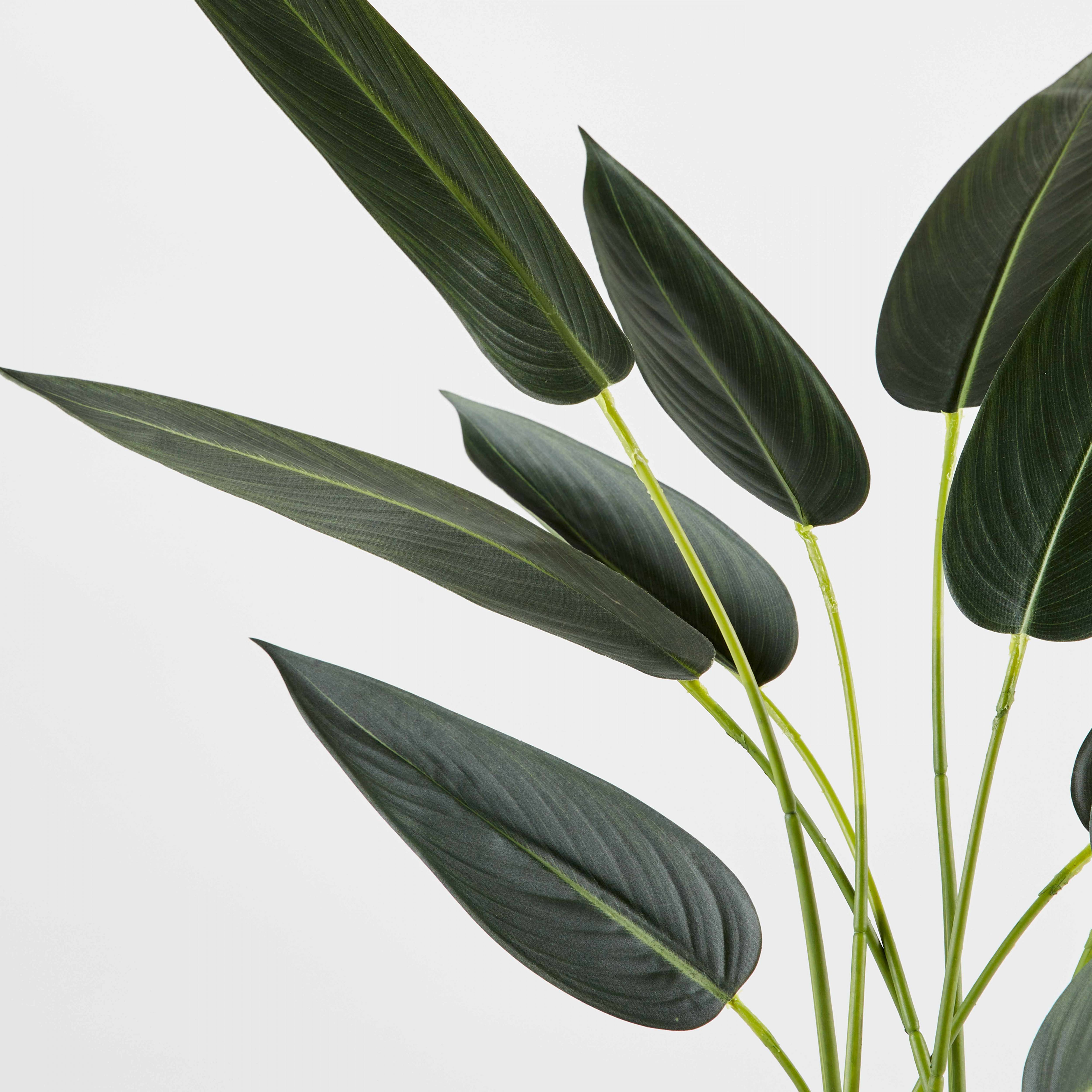 Oviala - Plante artificielle en pot Strelitzia 90 cm
- Oviala - Imagen 2