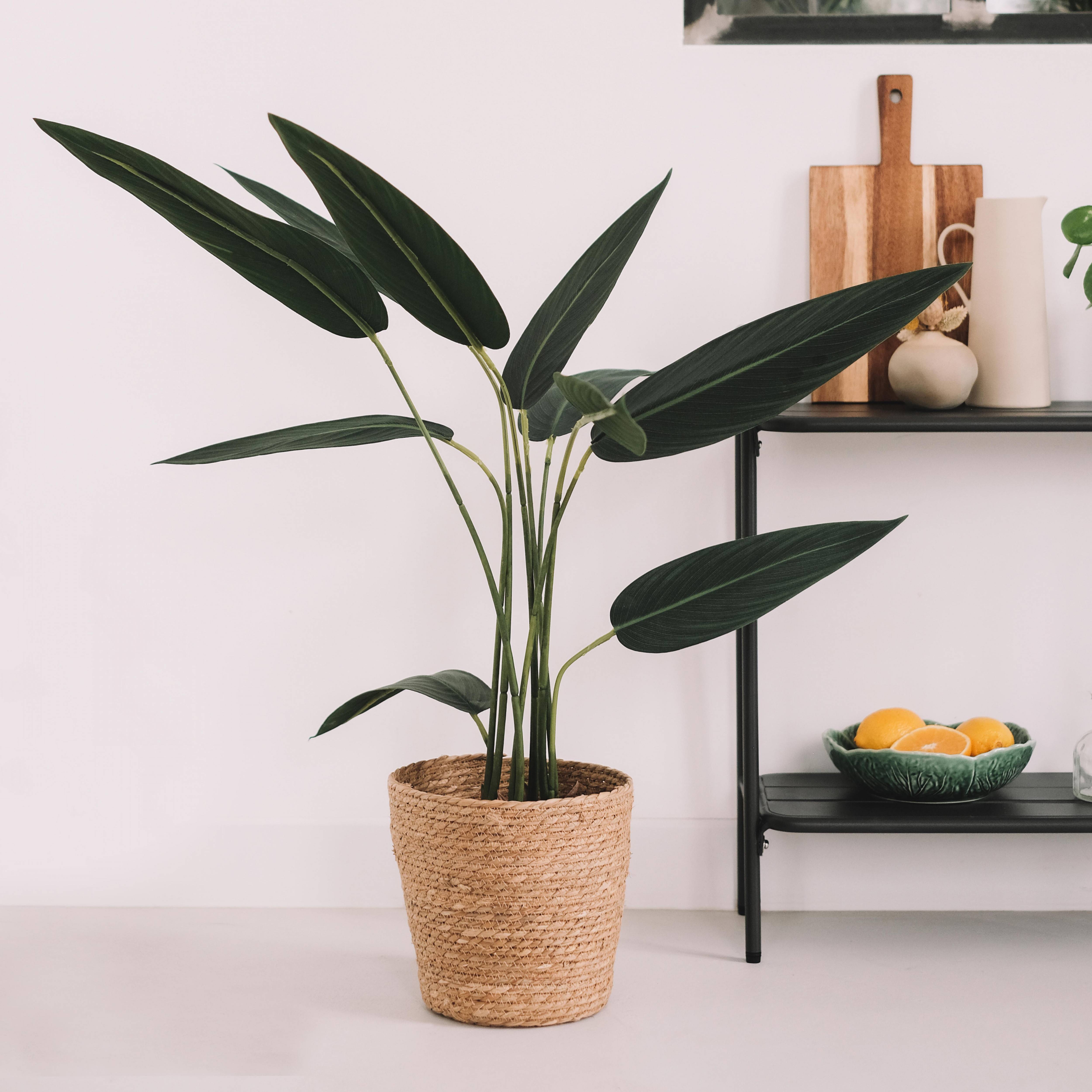 Oviala - Plante artificielle en pot Strelitzia 90 cm
- Oviala - Imagen 4