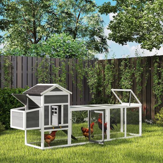 Poulailler avec pondoir bois blanc 297.5 x 68 x 118 cm - PANGIVO - Image 4