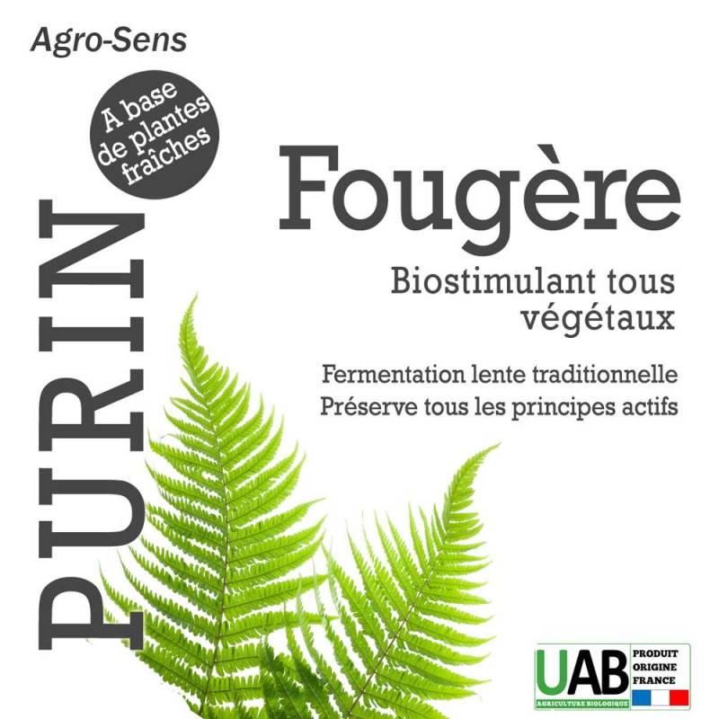 Purin de fougère - Concentré à diluer - 2 Litres - Image 5