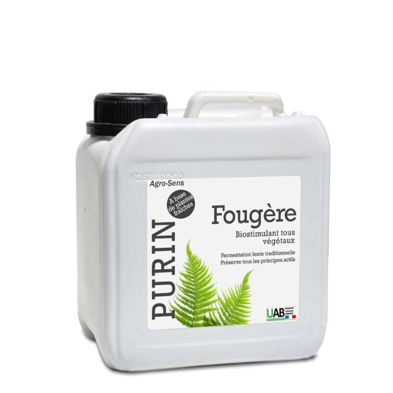 Purin de fougère - Concentré à diluer - 2 Litres - Image 1