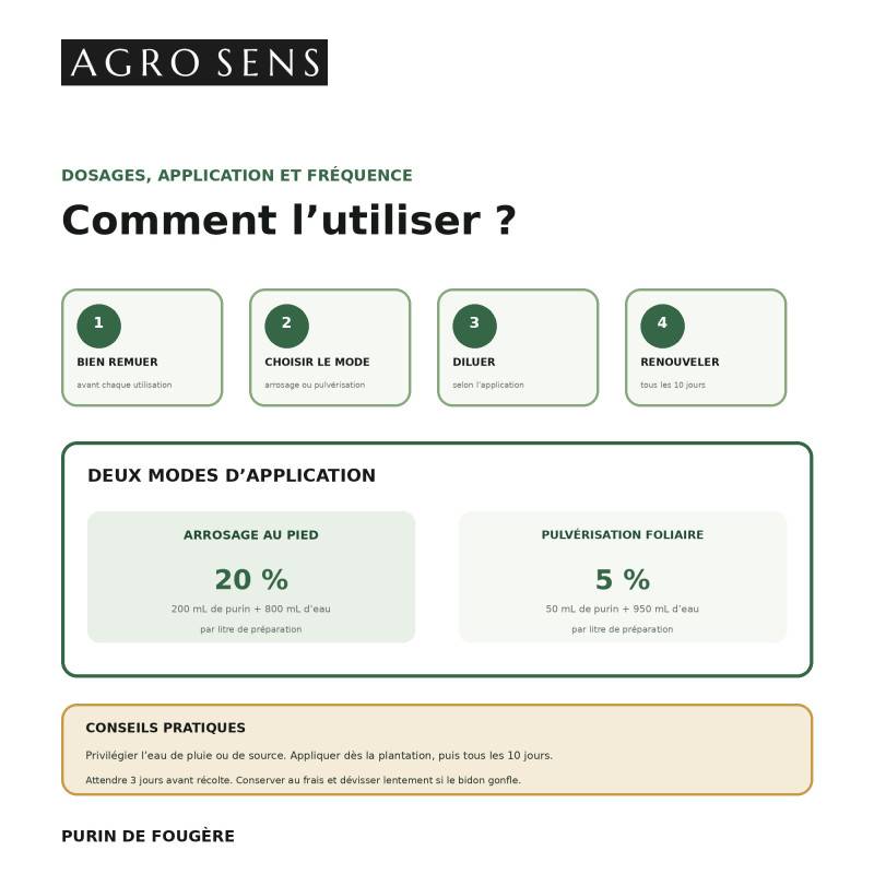 Purin de fougère - Concentré à diluer - 2 Litres - Image 4