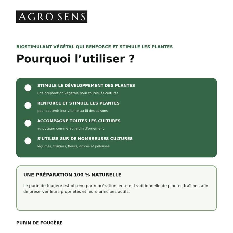 Purin de fougère - Concentré à diluer - 2 Litres - Image 2