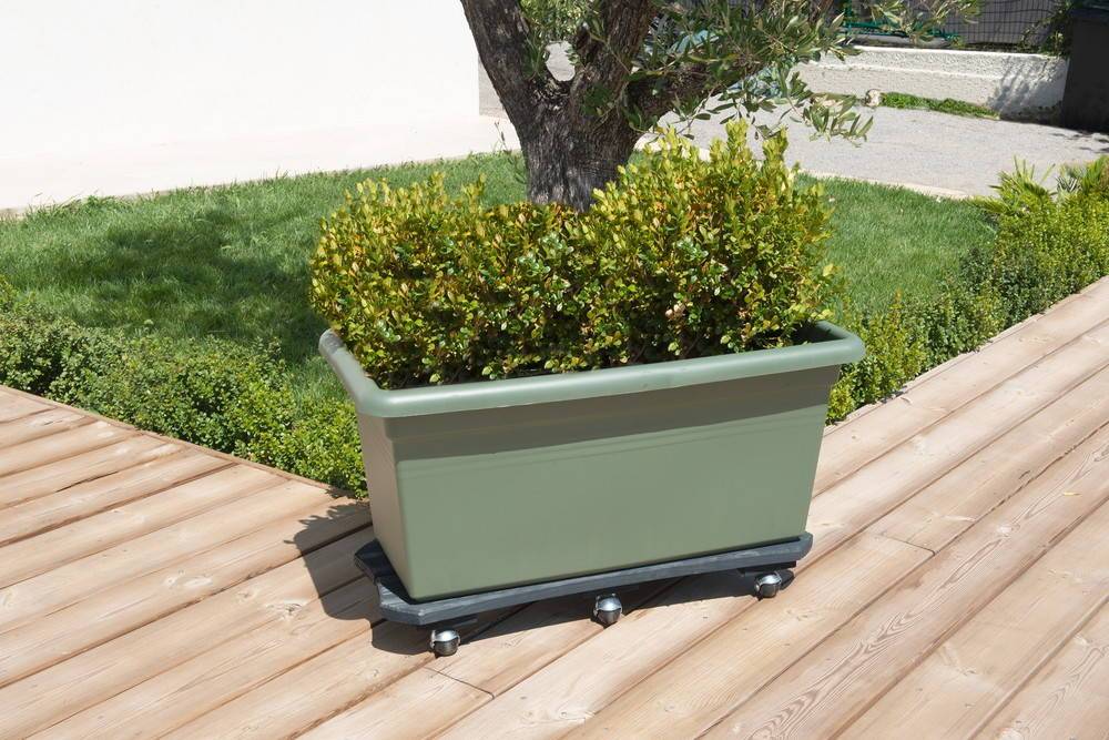 Louis Moulin - Roule plante Bois spécial bac anthracite - 30x70 cm  - Bois Louis Moulin - Imagen 3