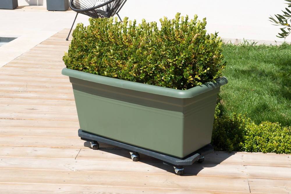 Louis Moulin - Roule plante Bois spécial bac anthracite - 30x70 cm  - Bois Louis Moulin - Imagen 5