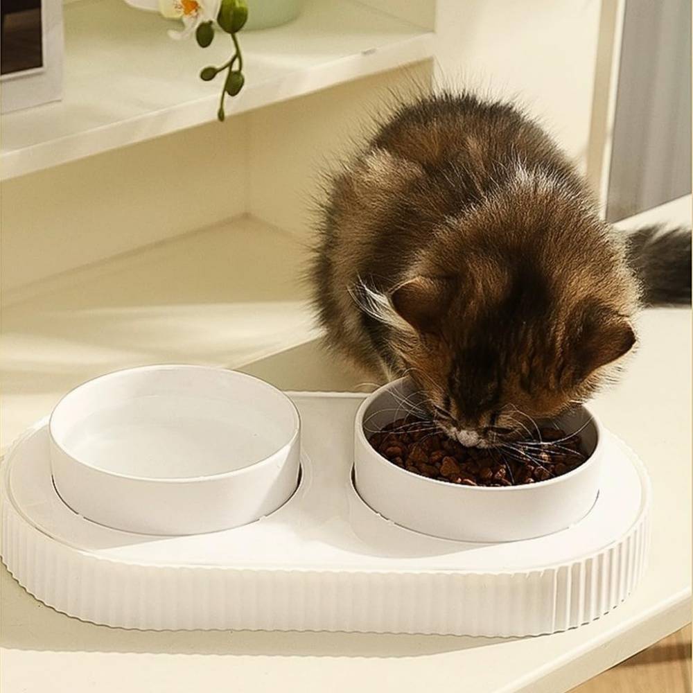 Double Gamelle en Céramique pour Chats Intérieurs ou Extérieurs Blanche ...