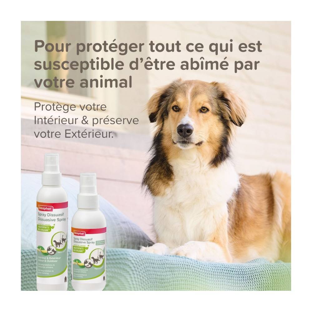 Beaphar Spray Dissuassif Chien-Chat 125 - Image 6