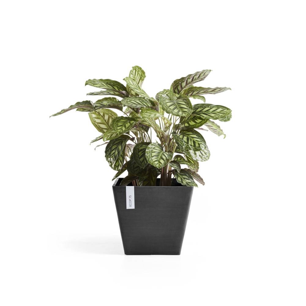 Ecopots - Pot Carré Rotterdam 50 Gris Foncé - 50 x 50 x H. 44 cm - 75 L ECOPOTS - Imagen 3