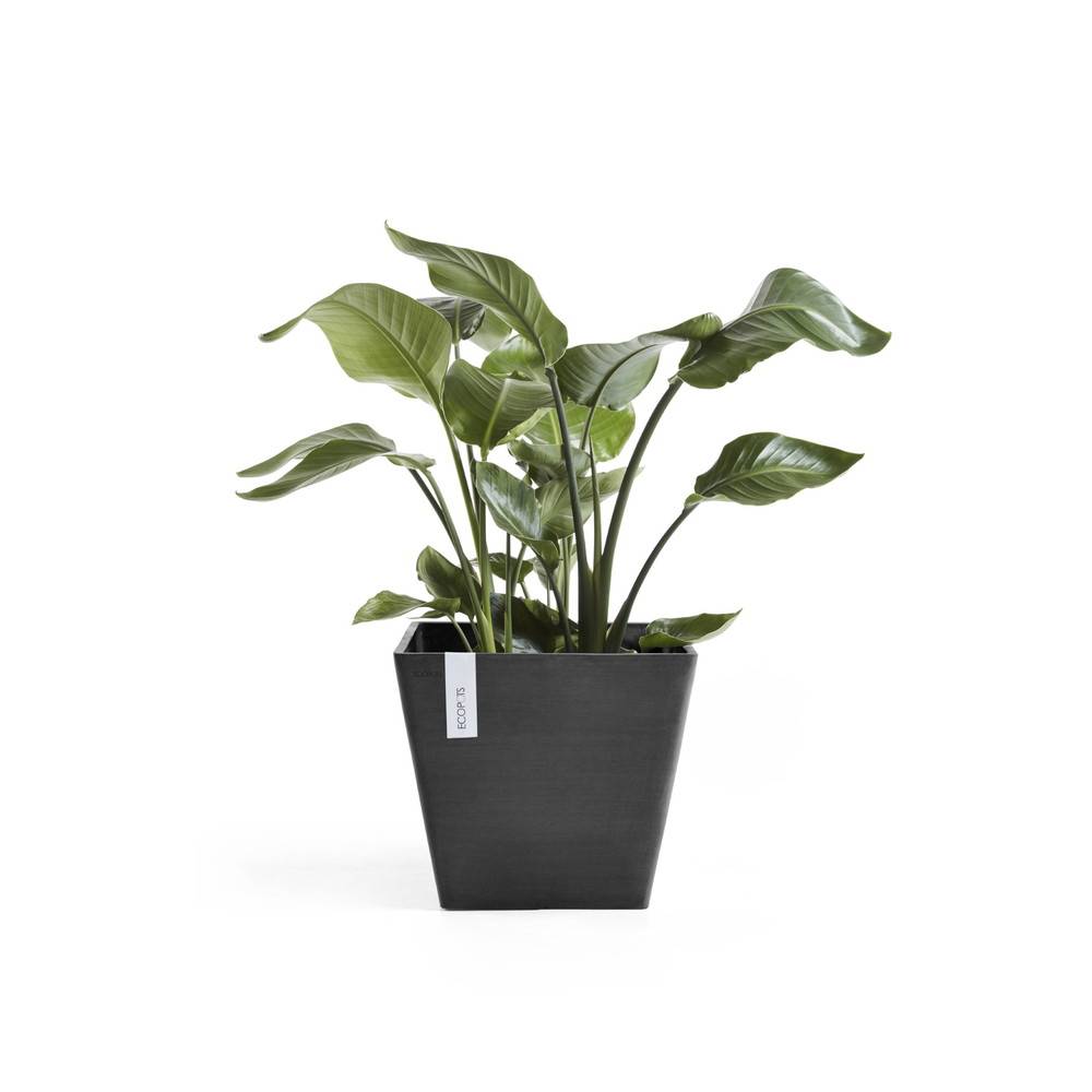 Ecopots - Pot Carré Rotterdam 50 Gris Foncé - 50 x 50 x H. 44 cm - 75 L ECOPOTS - Imagen 1