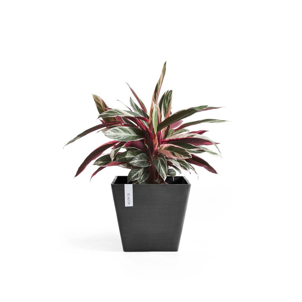 Ecopots - Pot Carré Rotterdam 50 Gris Foncé - 50 x 50 x H. 44 cm - 75 L ECOPOTS - Imagen 2