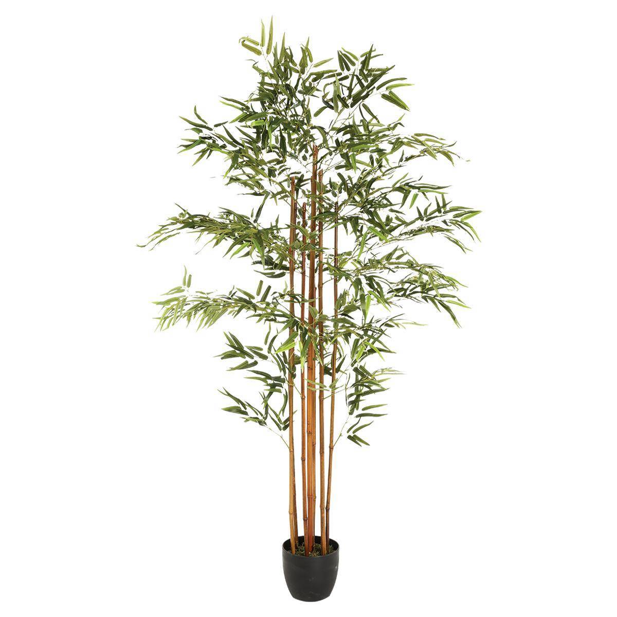 Atmosphera - Bambou artificiel H180cm - Atmosphera Créateur d'intérieur - Imagen 1