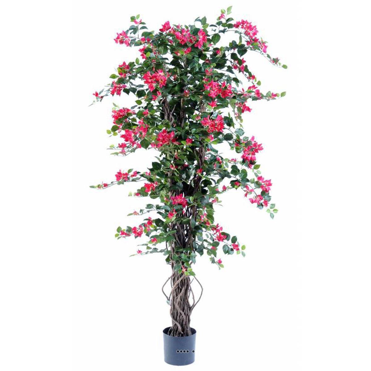 Artificielles - Bougainvillier artificiel en pot tronc naturel lianes H 180 cm Rose fushia - dimhaut: H 180 cm - couleur: Rose fushia 730
