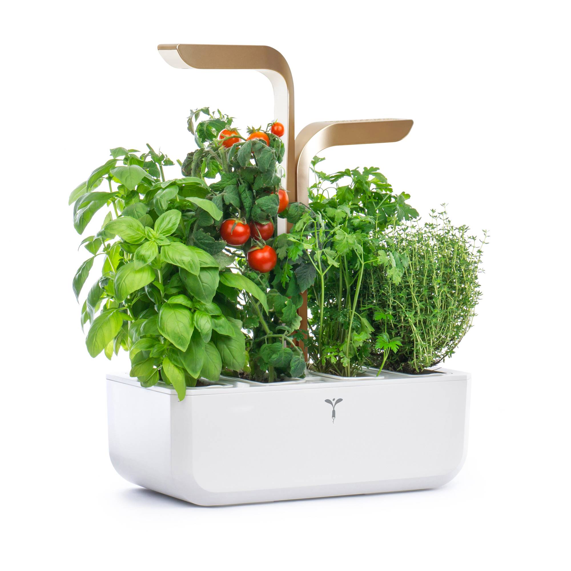 Veritable - Potager d'intérieur Autonome Véritable CONNECT Moonlight Gold - Livré avec 4 Lingots - Véritable - Image 2