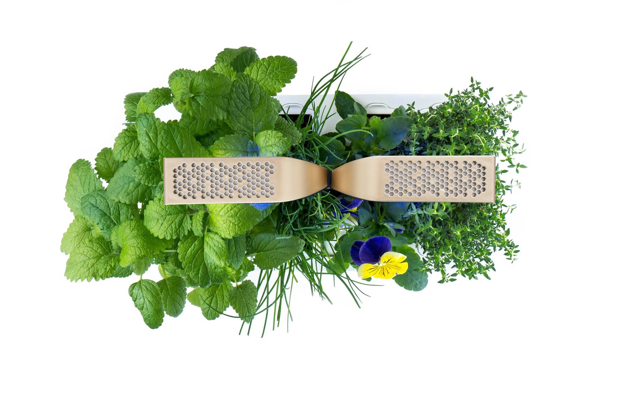 Veritable - Potager d'intérieur Autonome Véritable CONNECT Moonlight Gold - Livré avec 4 Lingots - Véritable - Image 3