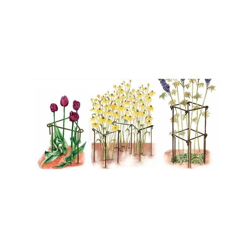 Harrod Horticultural - Support à plantes en acier (Lot de 6) 75 cm - Imagen 3