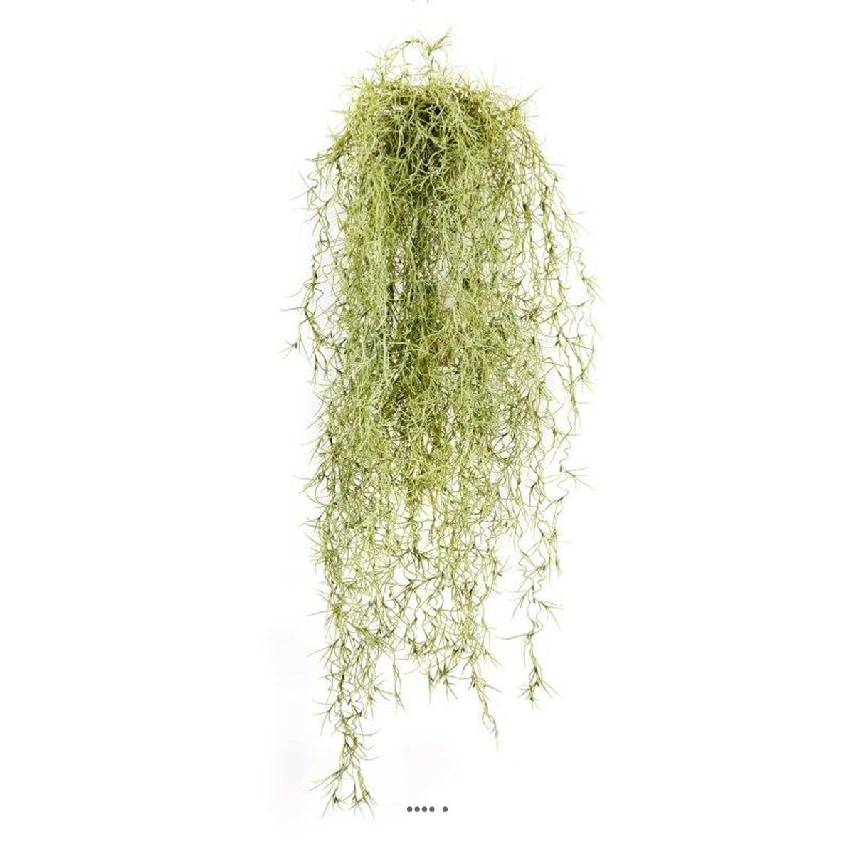 Grande chute de feuillage long hair L 80 cm Vert-Blanc - Image 1