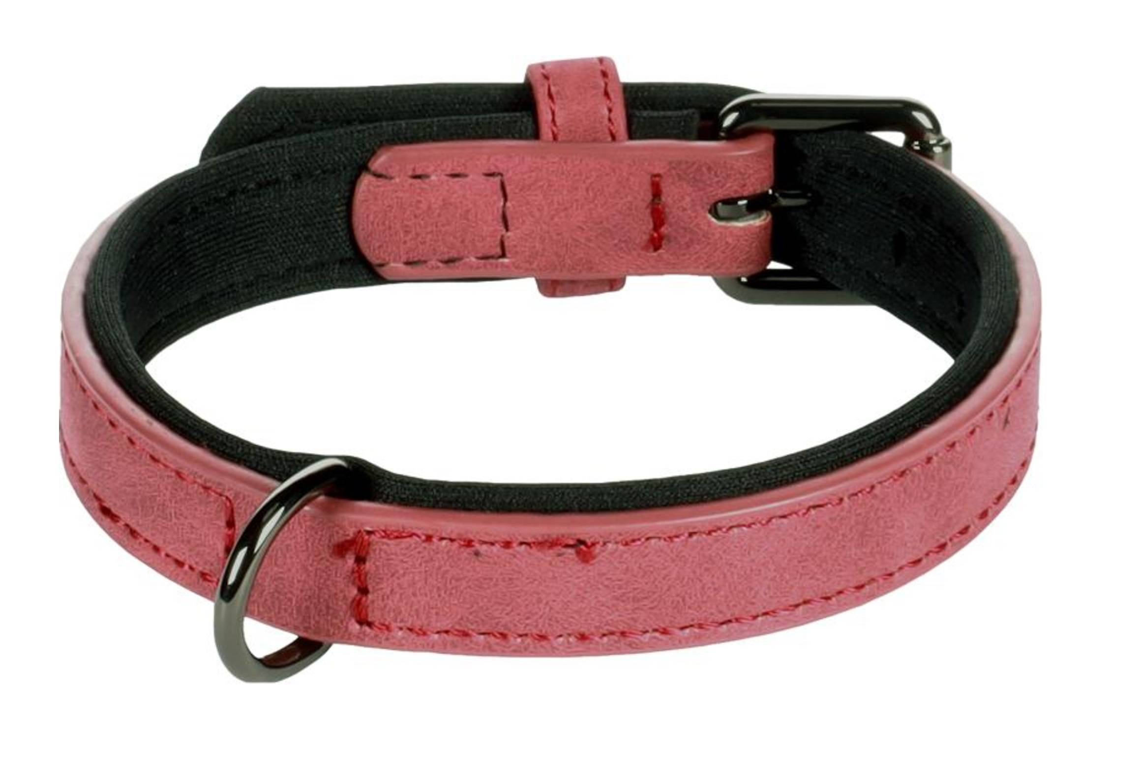 Eden - Collier pour chien avec doublure néoprène XS / S 24-30cm 15mm rouge - Image 1