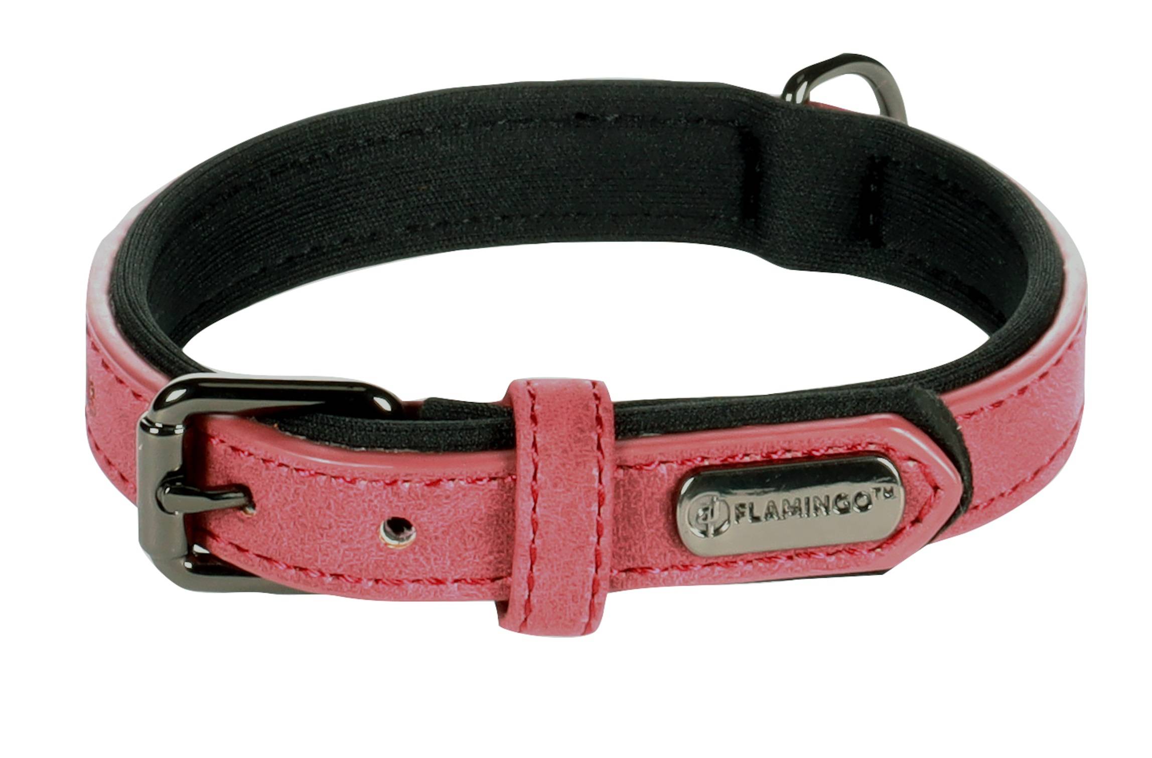 Eden - Collier pour chien avec doublure néoprène XS / S 24-30cm 15mm rouge - Image 3