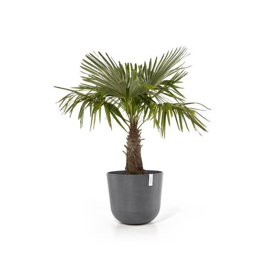 Ecopots - Pot Rond Oslo 55 Gris + réservoir d'eau - Ø 55 x H. 47,9 cm - 85,6 L ECOPOTS