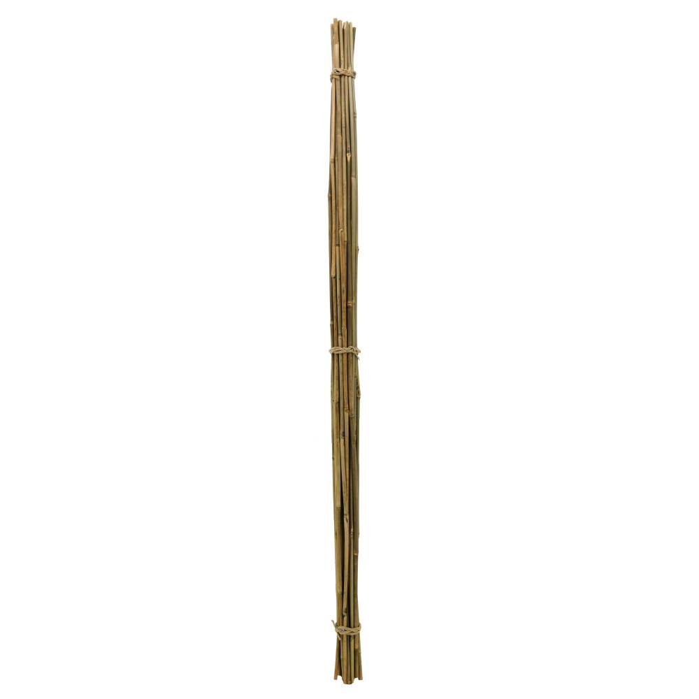 Aubry Gaspard - Tuteurs en bambou naturel (Lot de 20) - Imagen 2