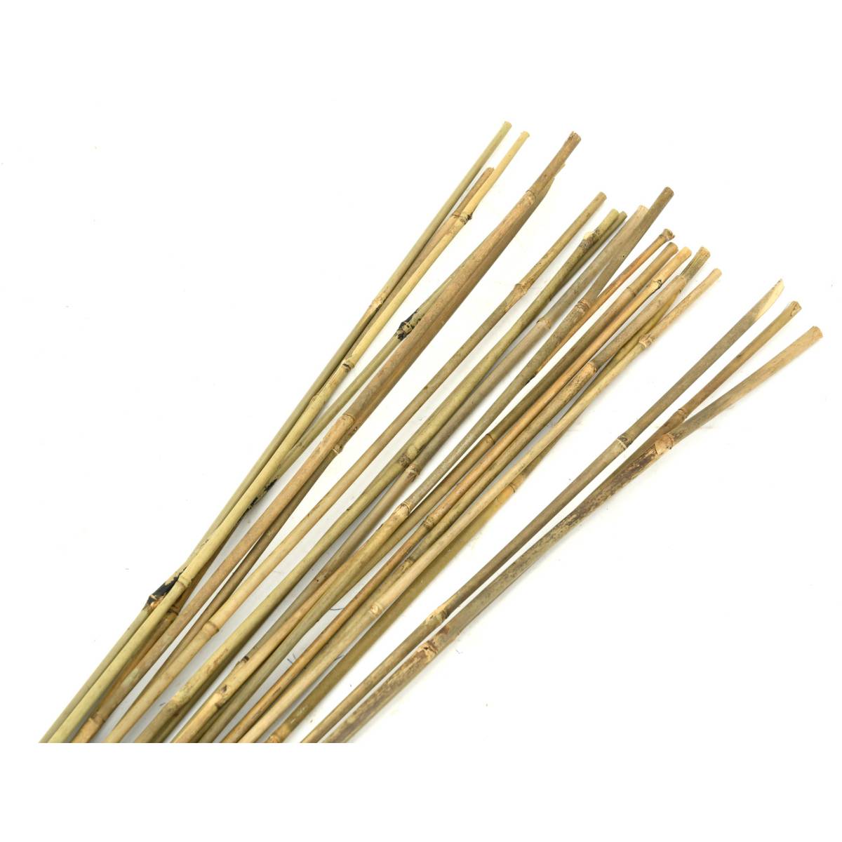 Aubry Gaspard - Tuteurs en bambou naturel (Lot de 20) - Imagen 1