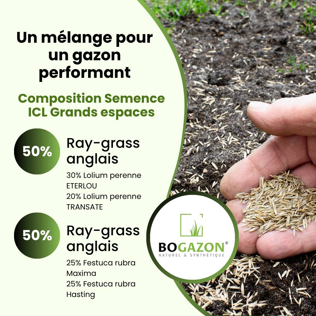 Bogazon - Gazon a semer ICL Grand Espaces 10 kg | Graines de Gazon Espaces Publics & Privés| Semence Universel Densité Maximale pour Couverture Uniforme - Image 5