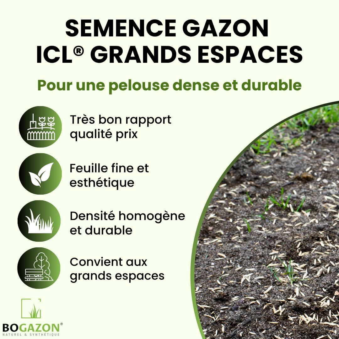 Bogazon - Gazon a semer ICL Grand Espaces 10 kg | Graines de Gazon Espaces Publics & Privés| Semence Universel Densité Maximale pour Couverture Uniforme - Image 2