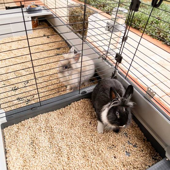 Ferplast - FERPLAST - Cage Cochon d'Inde - Cage Lapin - Maison Lapin - Clapier Lapin - accessoires inclus - Ouvrant et modulable 205 x 60 x h 50 CM - Krolik 200 - Imagen 7