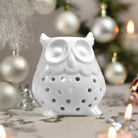 Diffuseur Huile Essentielle et Parfum Maison – Photophore Aromathérapie en Céramique Blanche Hibou, Haut: 12cm - Zen'Arôme - Image 7