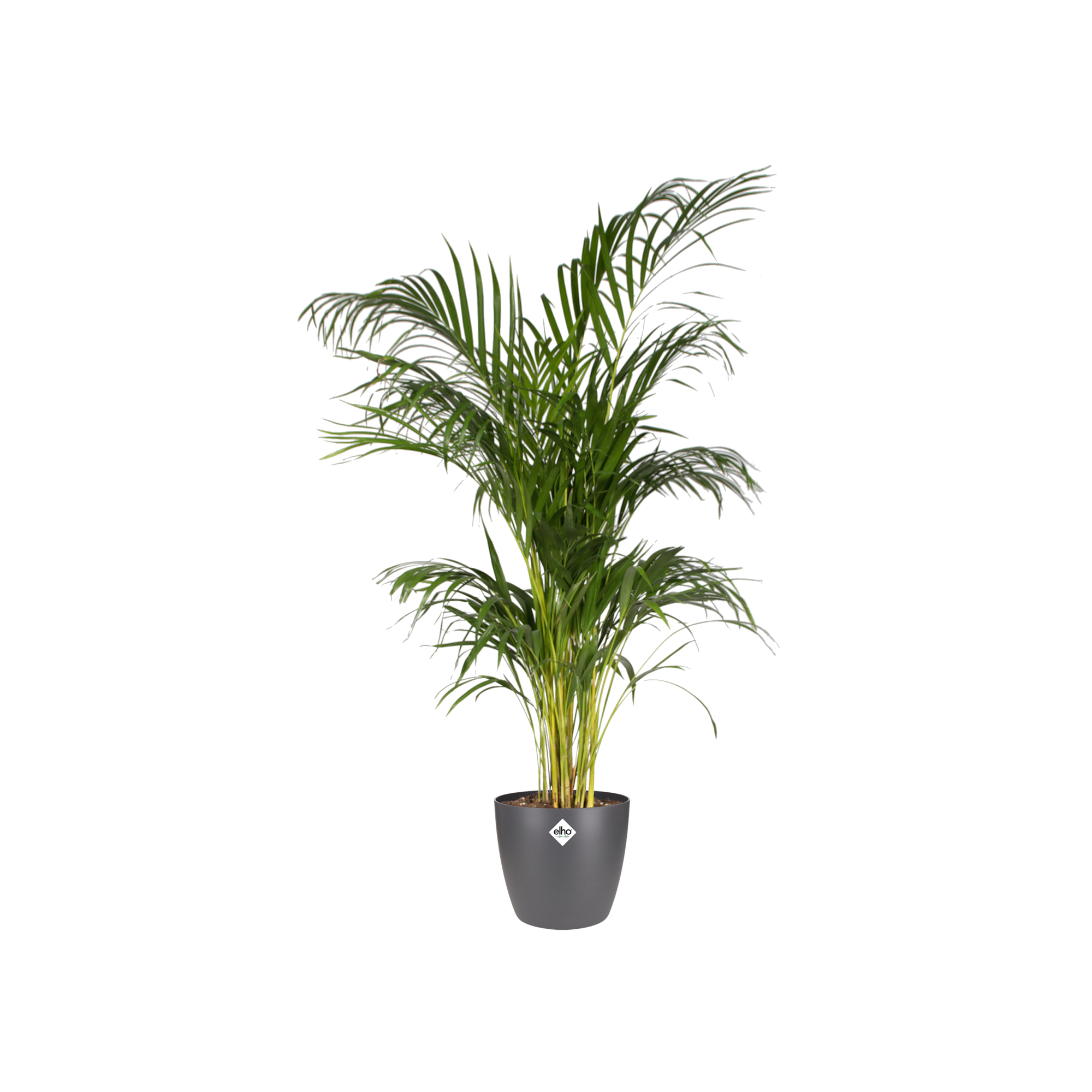 Pot de fleurs elho Brussels rond anthracite - D.30cm x H.27cm - Image 3