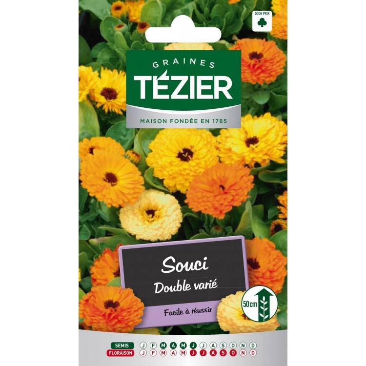 Tezier - Souci double varié -- Fleurs annuelles - Image 2
