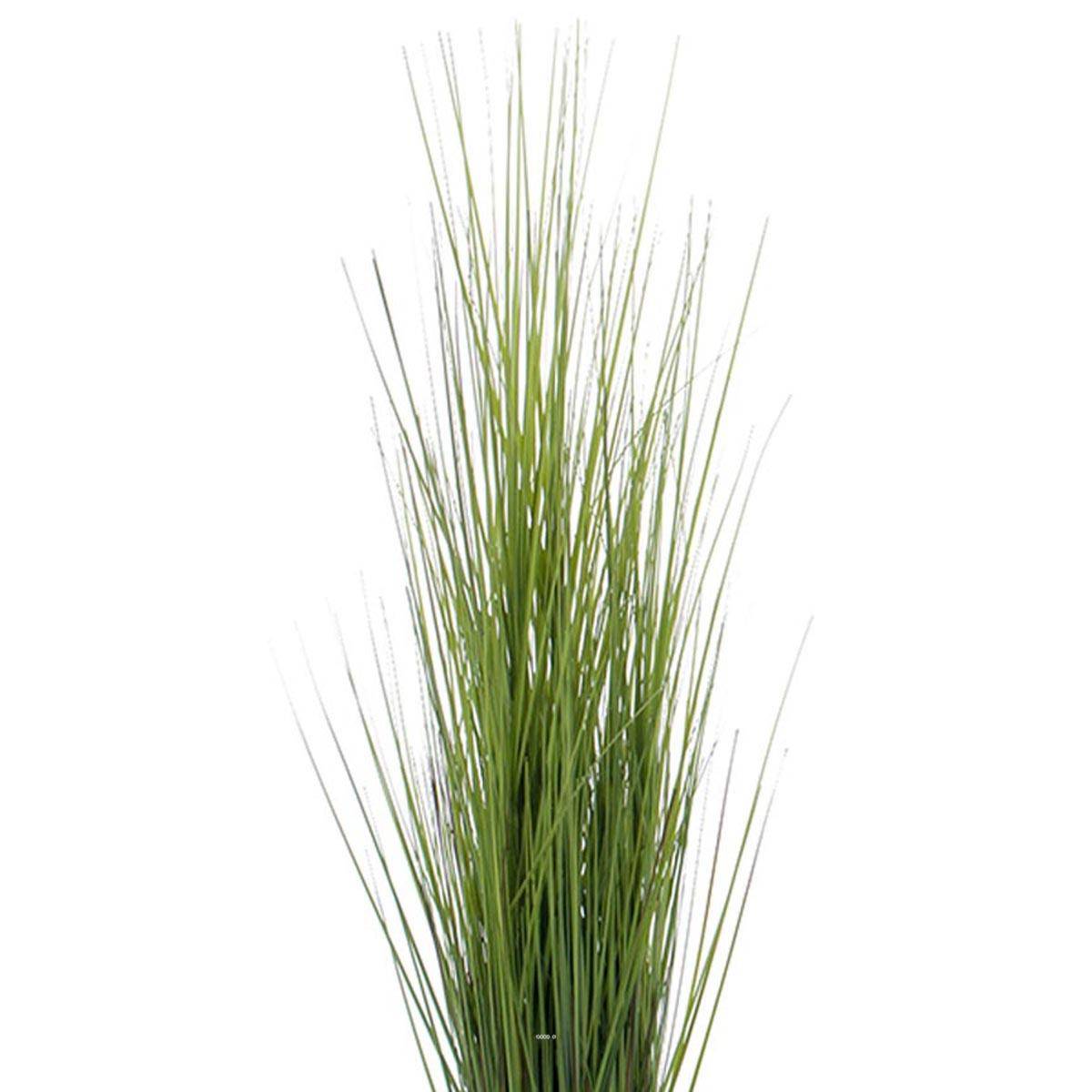Artificielles - Isolepsis factice en botte finition large autoportant vert H85cm D25cm - dimhaut: H 85 cm - Imagen 2