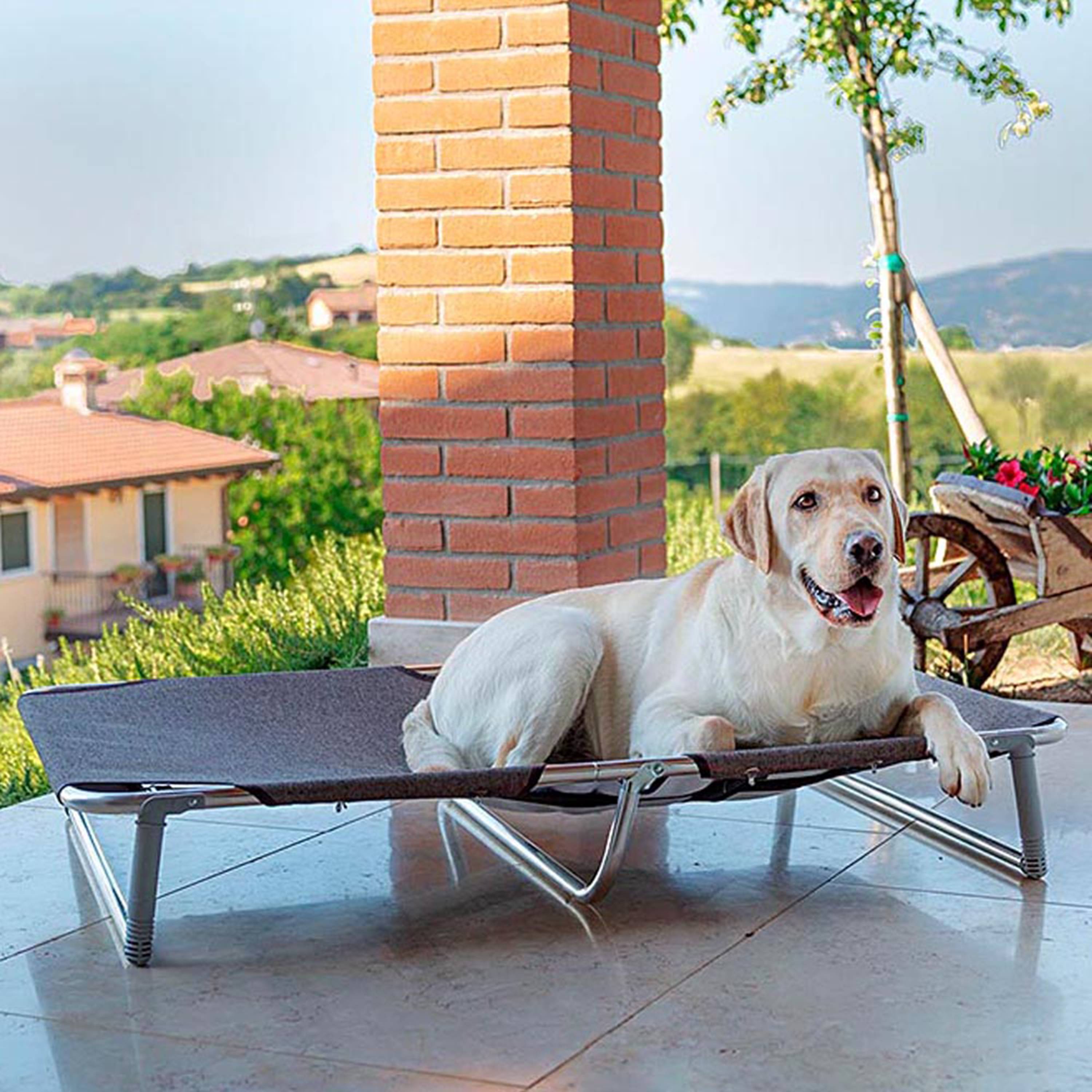 Ferplast - Ferplast Lit pliable pour chiens DREAM 115, avec structure solide en aluminium avec élastiques renforcés, toile en tissu, 119 x 79 x h 18 cm Taupe - Imagen 4