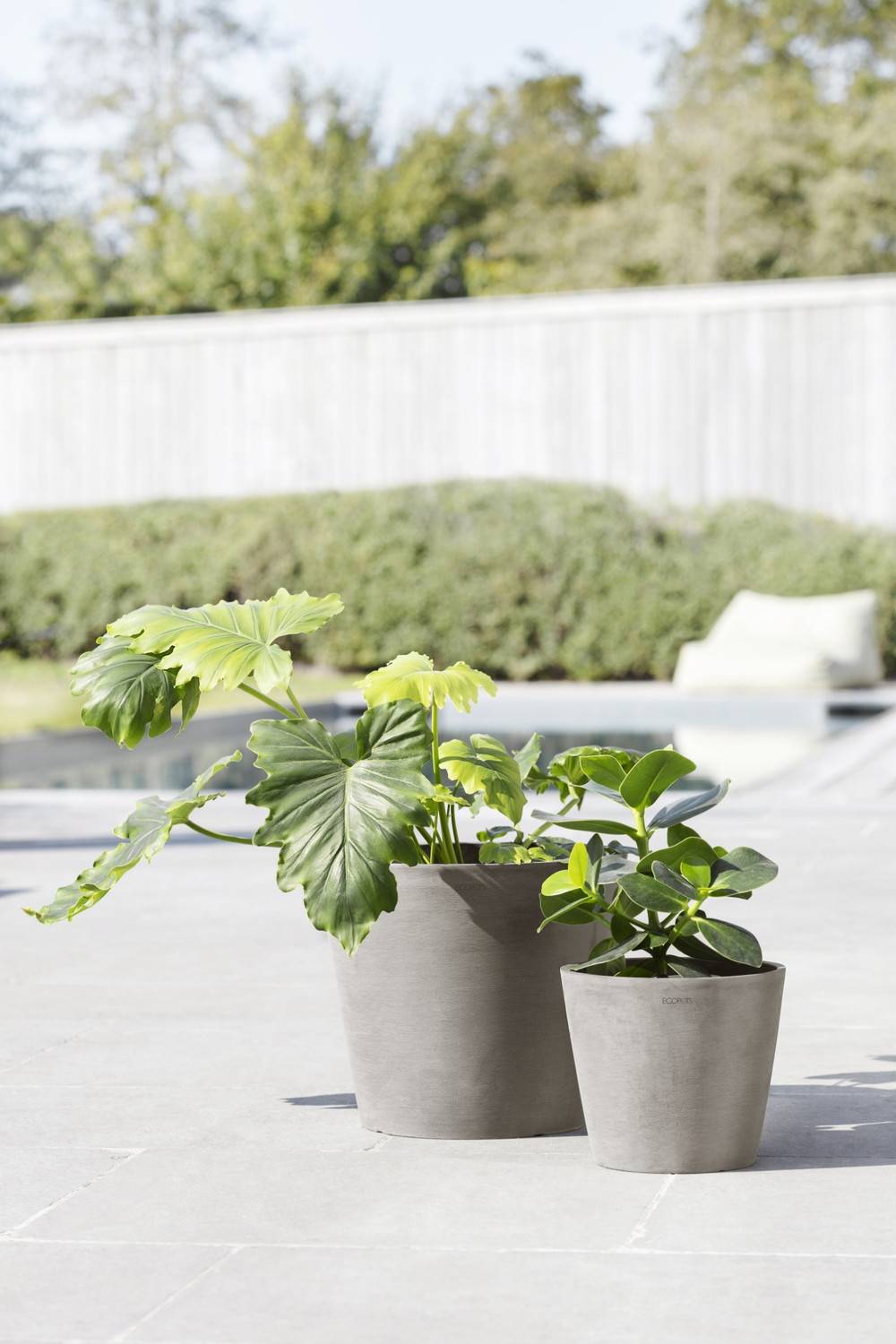 Ecopots - Pot Rond Amsterdam 20 Taupe + réservoir d'eau - Ø 20 x H. 17,5 cm - 4 L ECOPOTS - Imagen 4