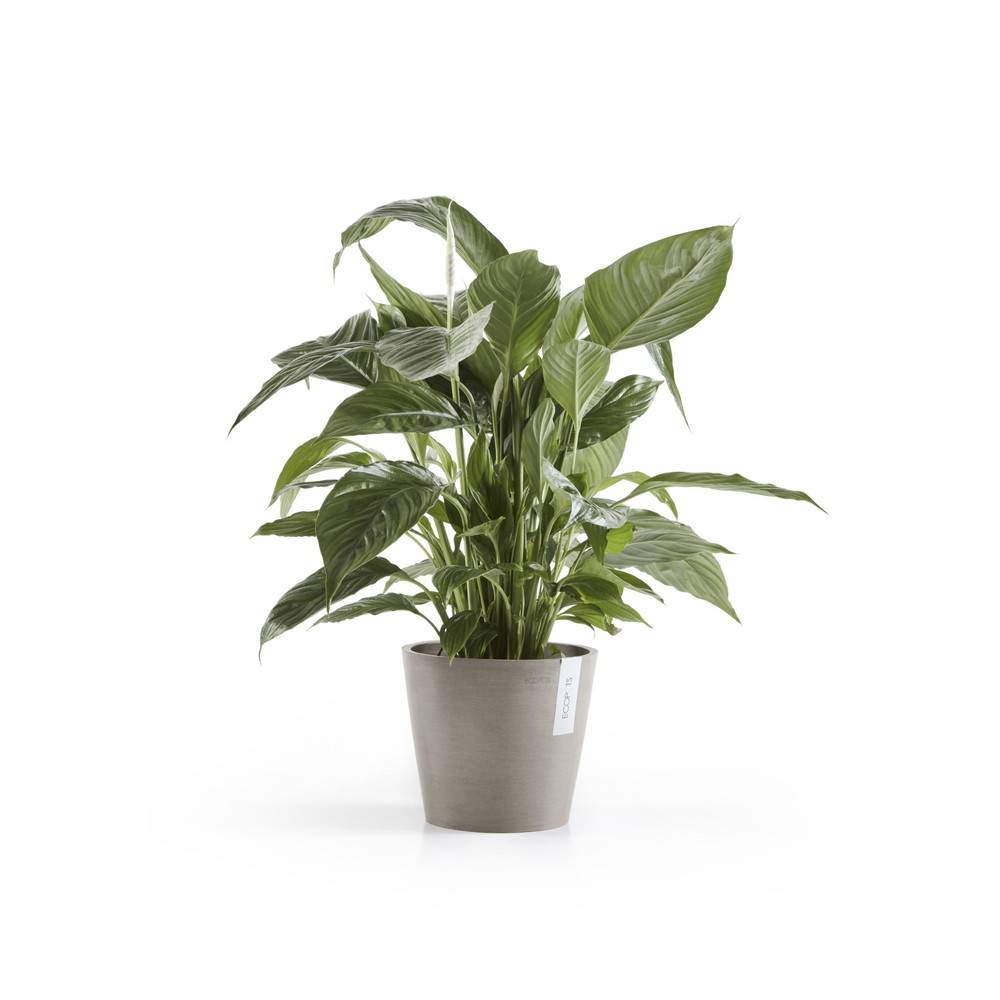 Ecopots - Pot Rond Amsterdam 20 Taupe + réservoir d'eau - Ø 20 x H. 17,5 cm - 4 L ECOPOTS - Imagen 1