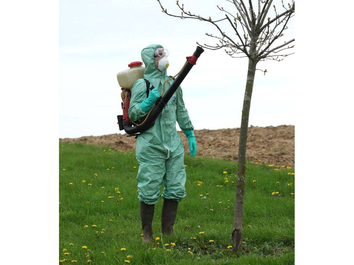 Gants de protection chimique SNITRILE - Taille 11 - Rostaing - Imagen 2
