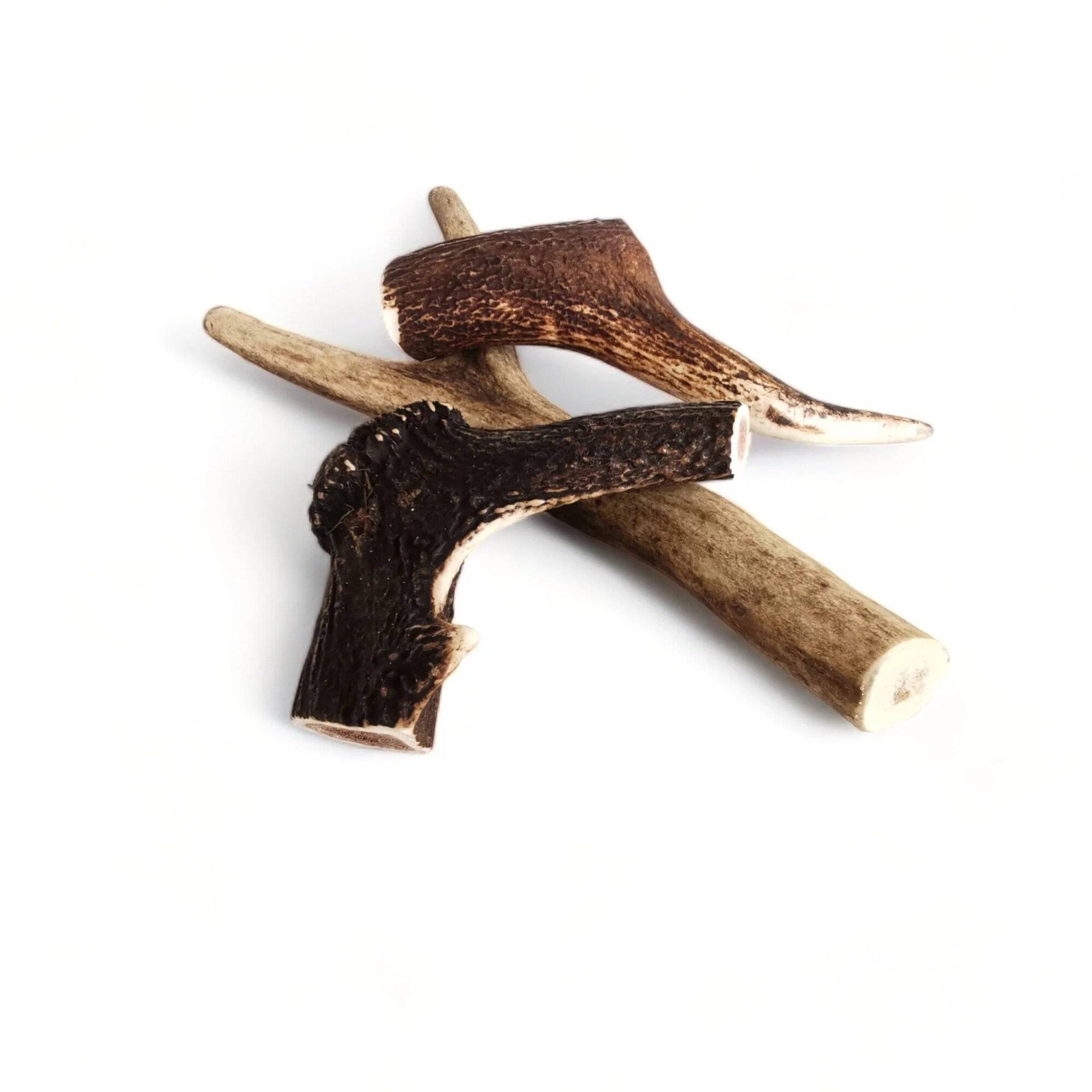 3x bois de cerf xxxl entier (300gr et+) - chien +50kg - france croquettes