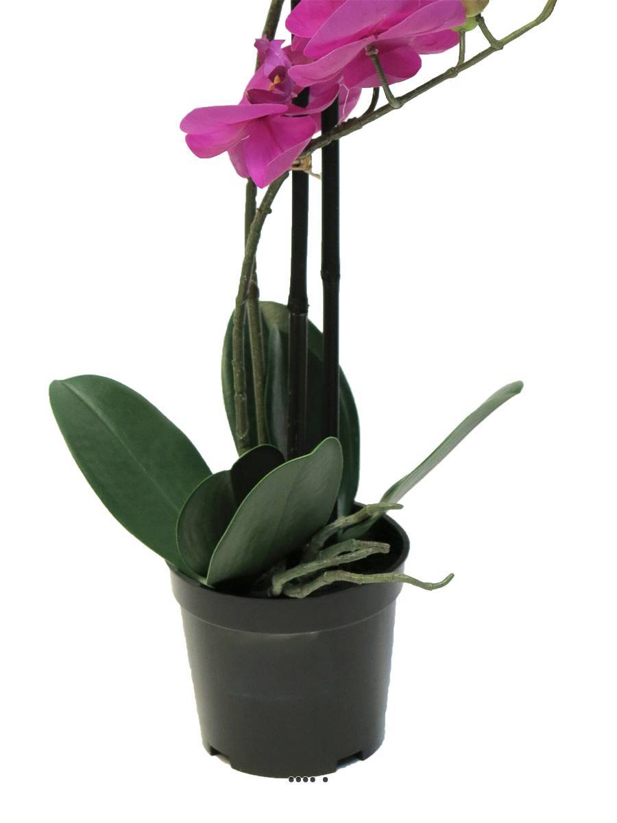 Artificielles - Orchidée Phalaenopsis factice Top Qualité & pot H50cm Rose fushia-BEST - dimhaut: H 50 cm - couleur: Rose fushia 730 - Imagen 4
