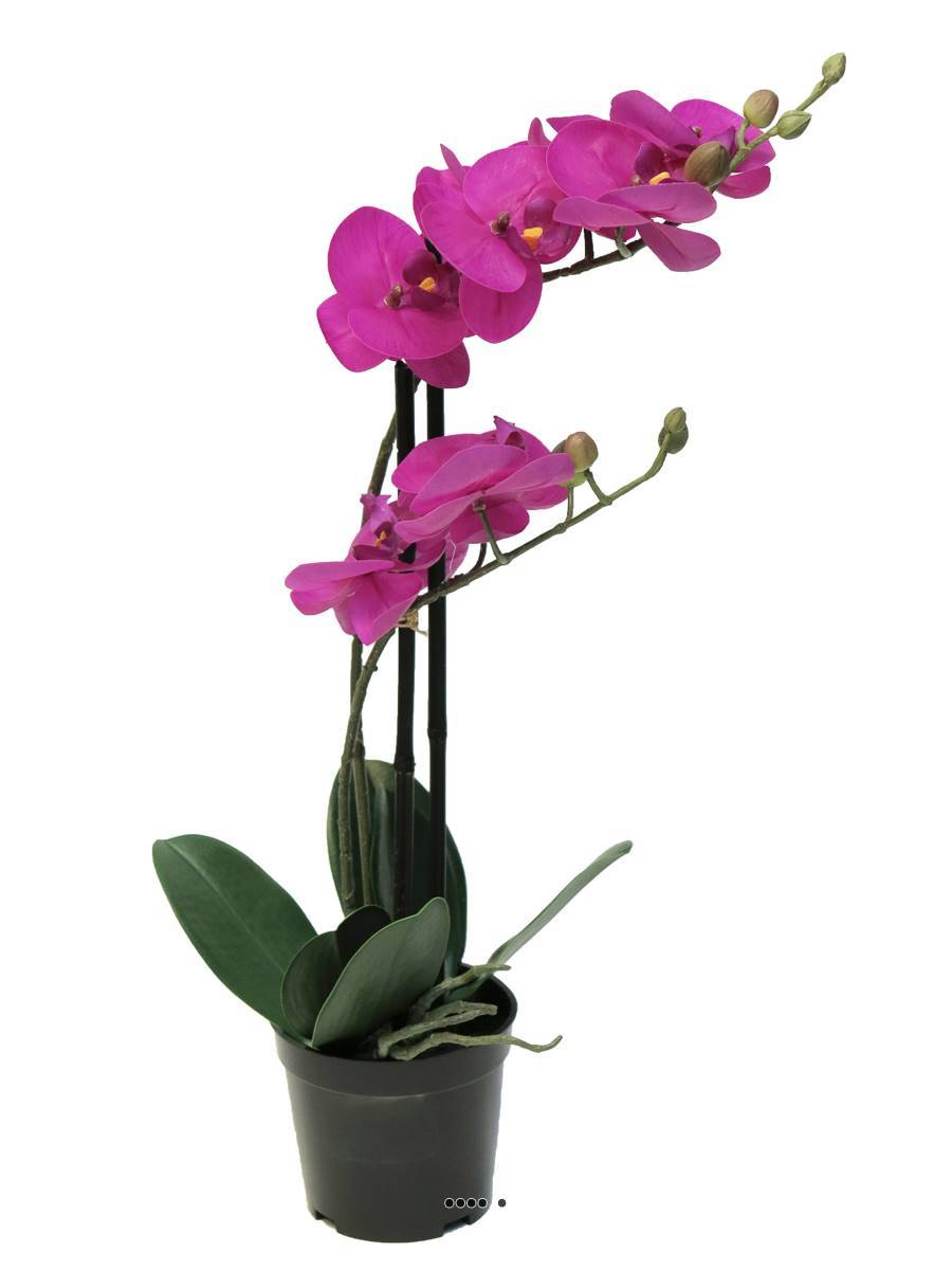 Artificielles - Orchidée Phalaenopsis factice Top Qualité & pot H50cm Rose fushia-BEST - dimhaut: H 50 cm - couleur: Rose fushia 730 - Imagen 2