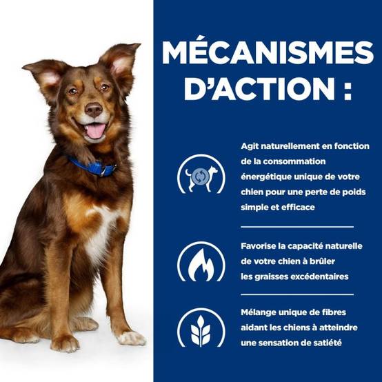 CROQUETTES CHIEN ADULT PRESCRIPTION DIETS METABOLIC - HILL'S 12 kg - Image 5