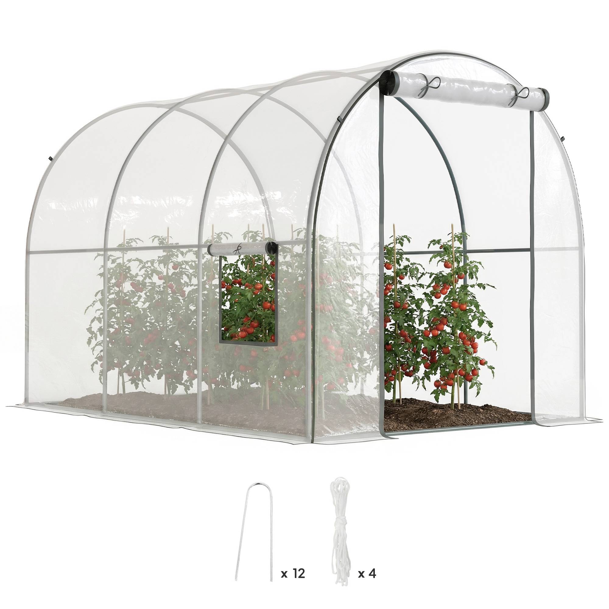 Serre tunnel de 3 x 2 x 2 m avec porte enroulable, 2 fenêtres grillagées et structure en acier transparent - Image 1