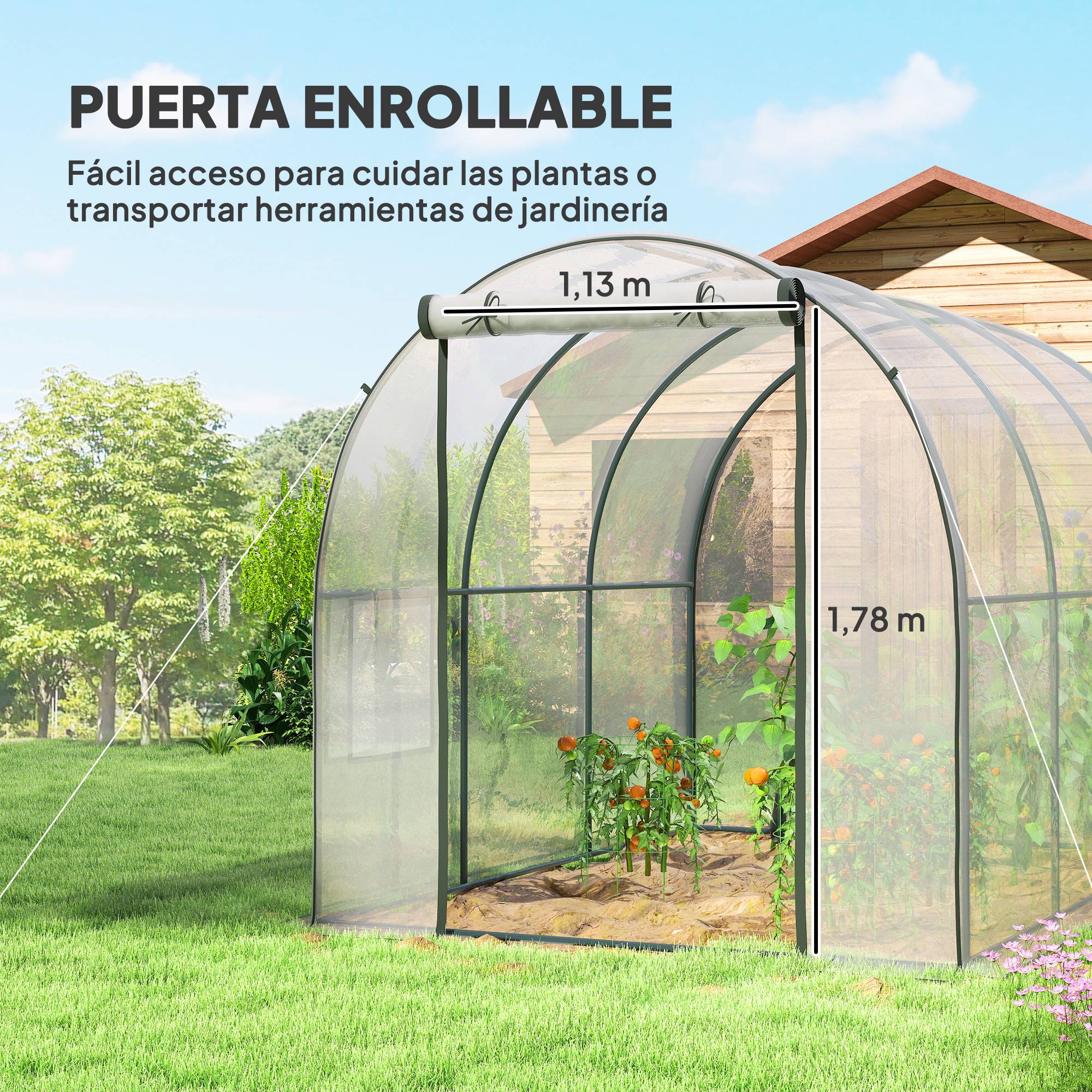 Serre tunnel de 3 x 2 x 2 m avec porte enroulable, 2 fenêtres grillagées et structure en acier transparent - Image 7