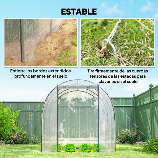 Serre tunnel de 3 x 2 x 2 m avec porte enroulable, 2 fenêtres grillagées et structure en acier transparent - Image 9