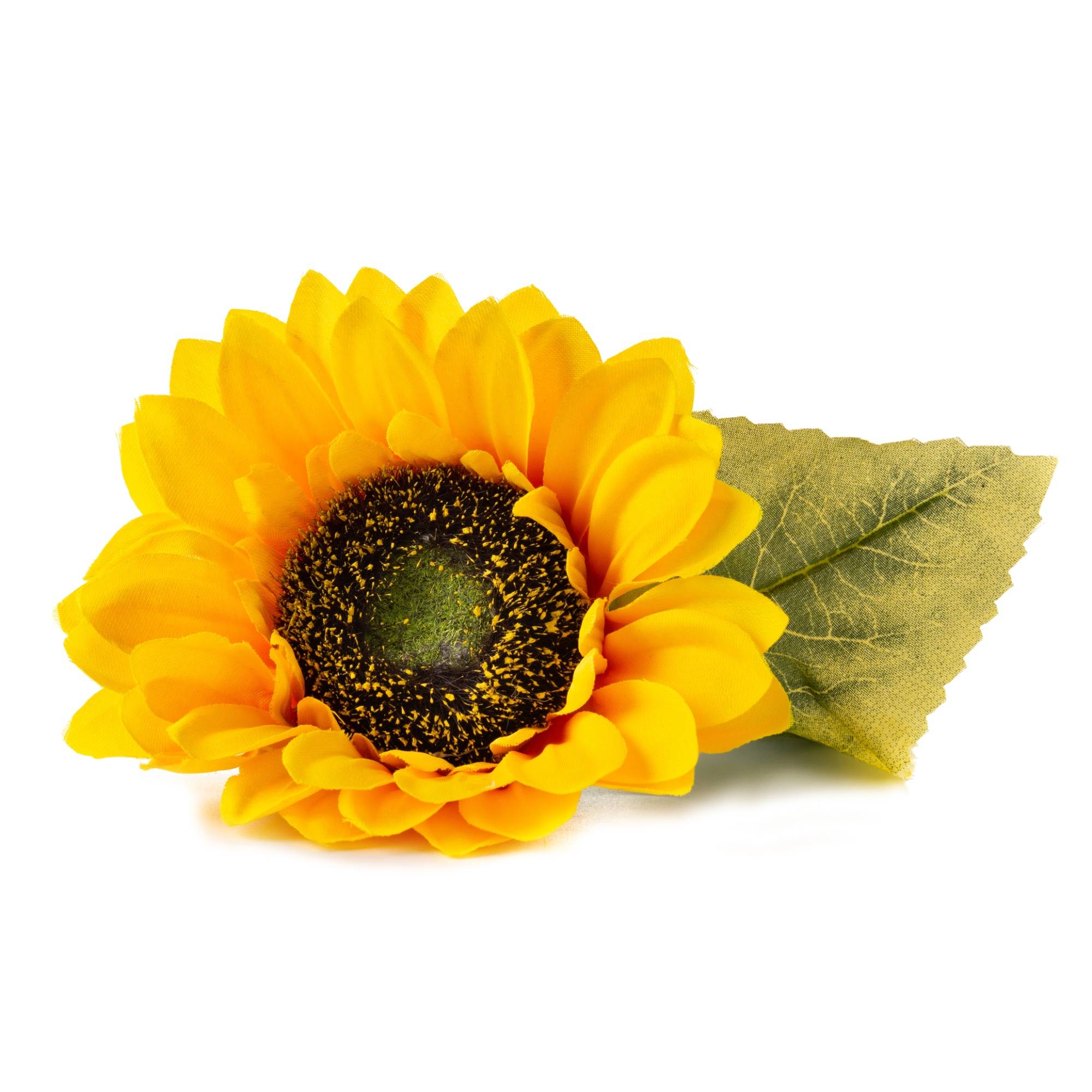 Veritable - Lingot Tournesol nain - Recharge prête à l'emploi - Véritable - Imagen 2