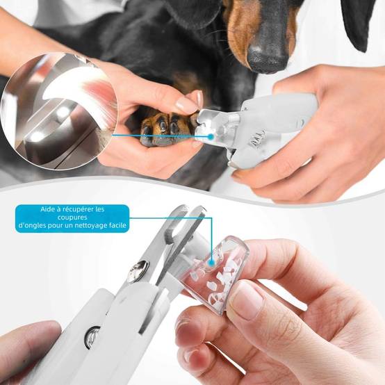 Coupe griffes avec lampe LED pour animaux - IntiMeg - Image 4