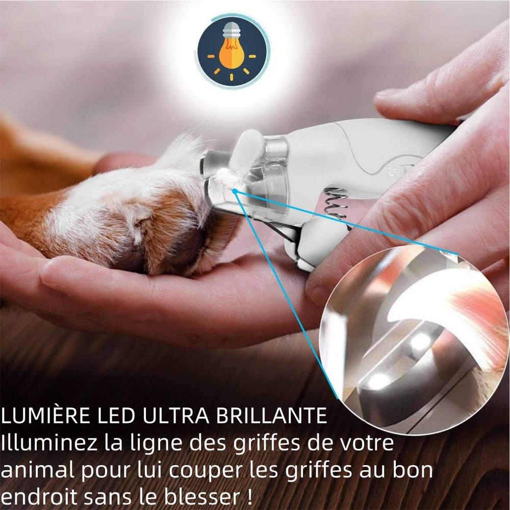Coupe  griffes avec lampe LED pour animaux - IntiMeg - Image 3
