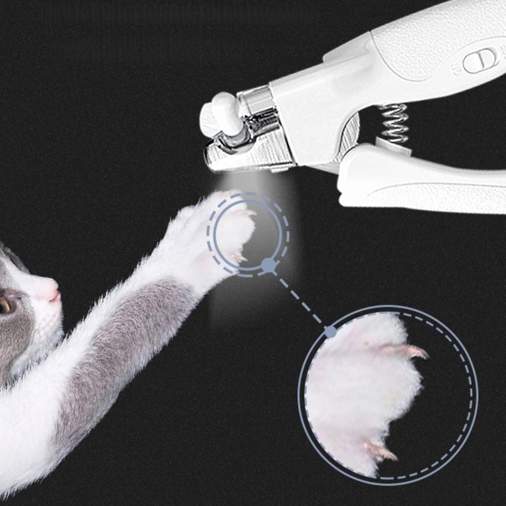 Coupe  griffes avec lampe LED pour animaux - IntiMeg - Image 6