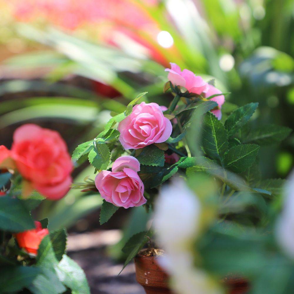 Rosier plante fleur artificielle extérieur cimetière tissu rose 23 cm Chemin de campagne - Imagen 5
