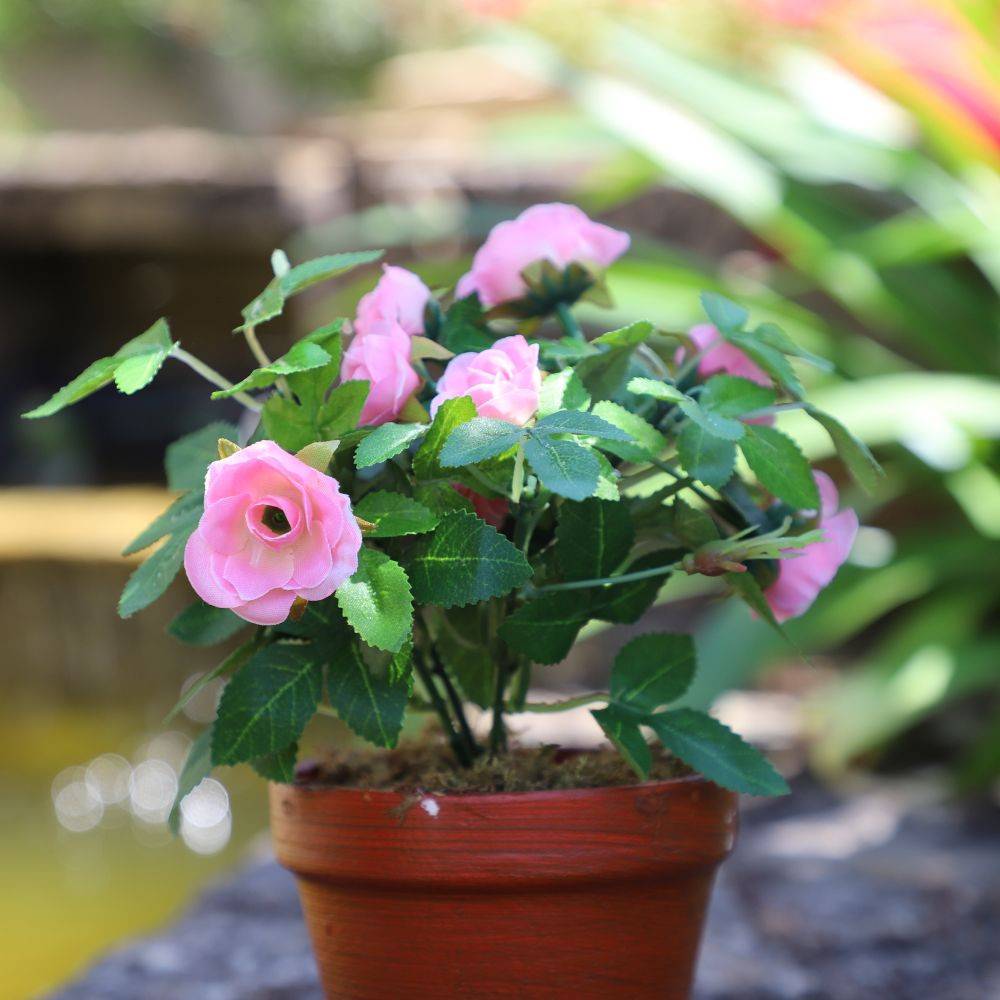 Rosier plante fleur artificielle extérieur cimetière tissu rose 23 cm Chemin de campagne - Imagen 4