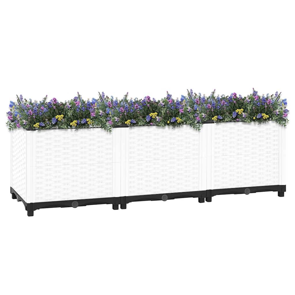 Prolenta Premium - Jardinière polypropylène gris 120 x 40 x 38 cm - Prolenta premium p339.2 - Image 1